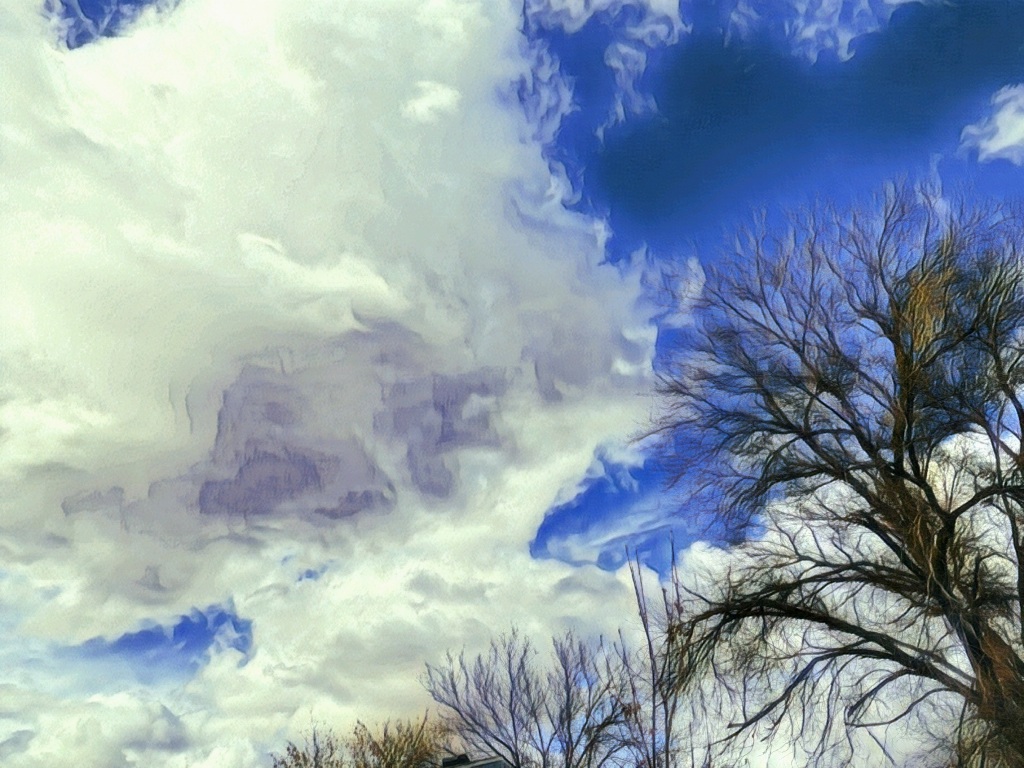 an altered photo of a tree on the right and cloudy sky 